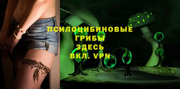 тгк Вяземский