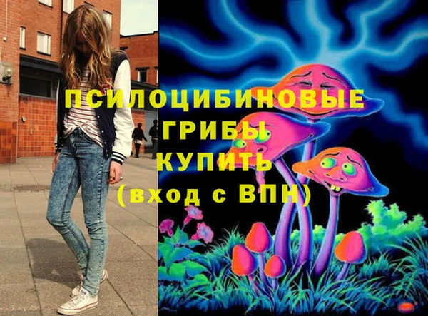 первитин Володарск